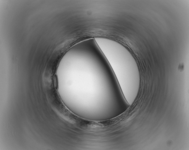 X0000091210215200708091123