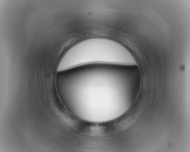 X0000091210216200708091123