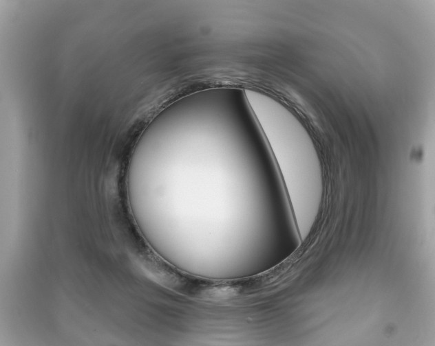 X0000091210217200708091123