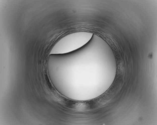 X0000091210218200708091123