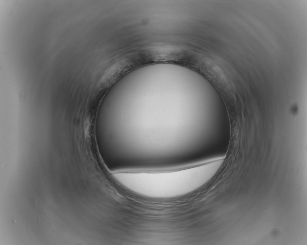 X0000091210219200708091123