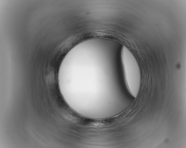 X0000091210220200708091123