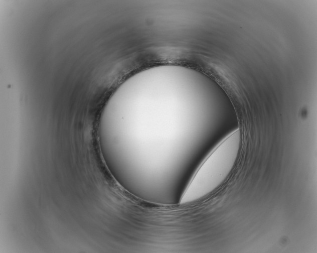 X0000091210221200708091123