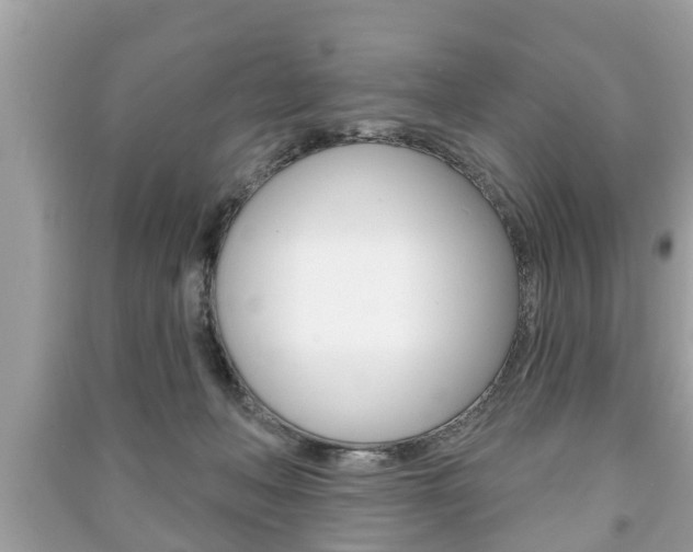X0000091210222200708091123