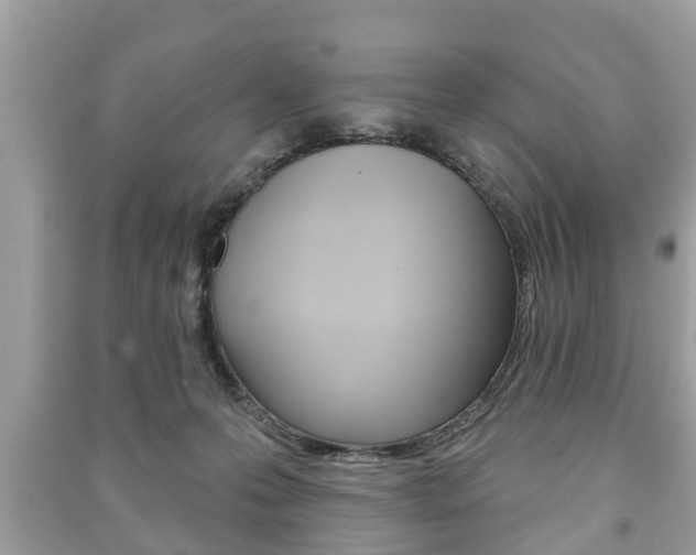 X0000091210223200708091123
