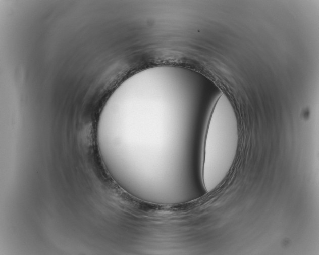 X0000091210224200708091123
