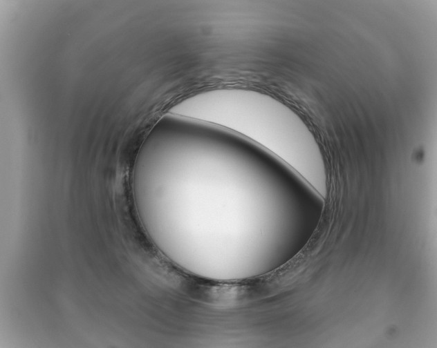 X0000091210225200708091123