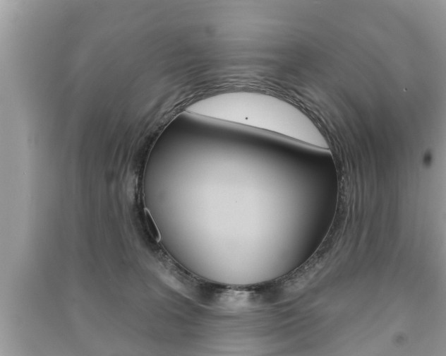 X0000091210227200708091122
