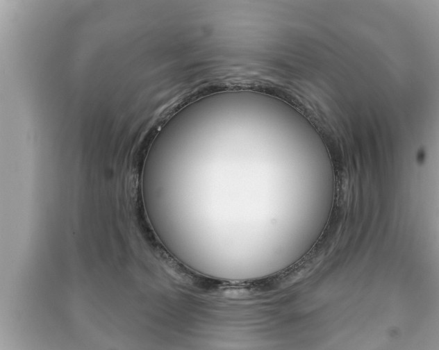 X0000091210228200708091122