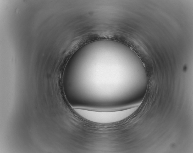 X0000091210229200708091122
