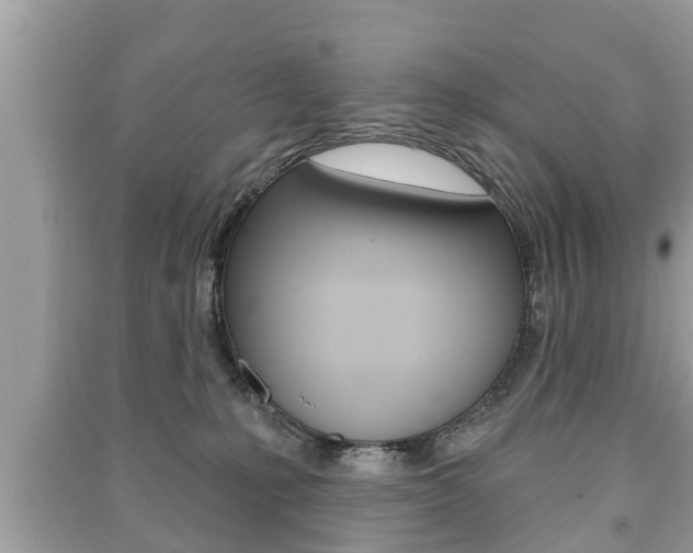 X0000091210231200708091122