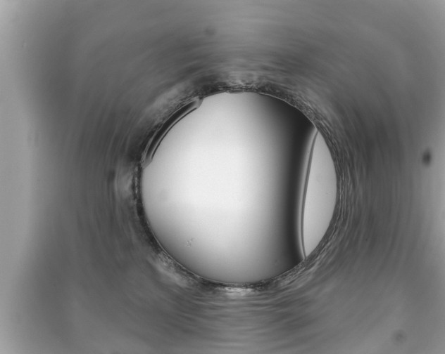 X0000091210233200708091122