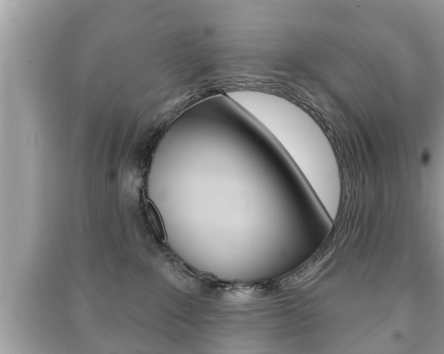 X0000091210235200708091122