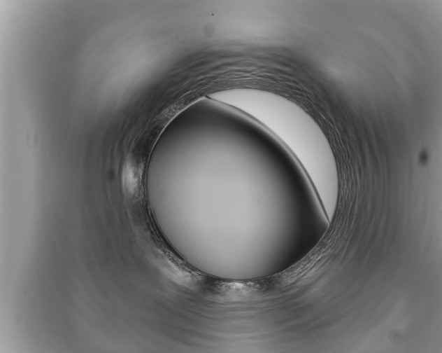 X0000091210239200708091122
