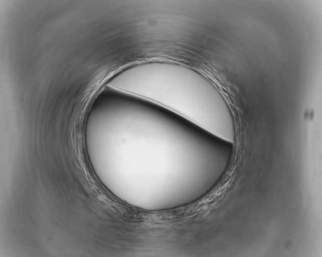 X0000091210241200708091122