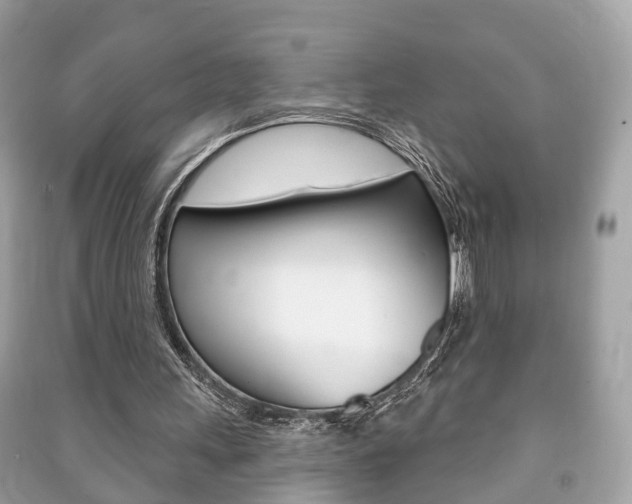 X0000091210243200708091122