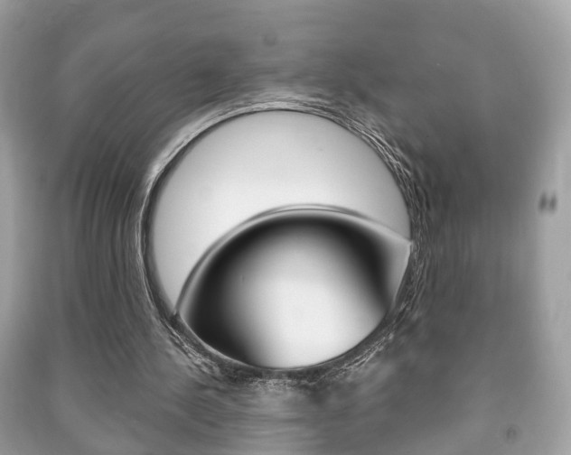 X0000091210244200708091122