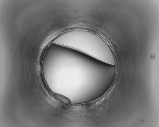 X0000091210245200708091122