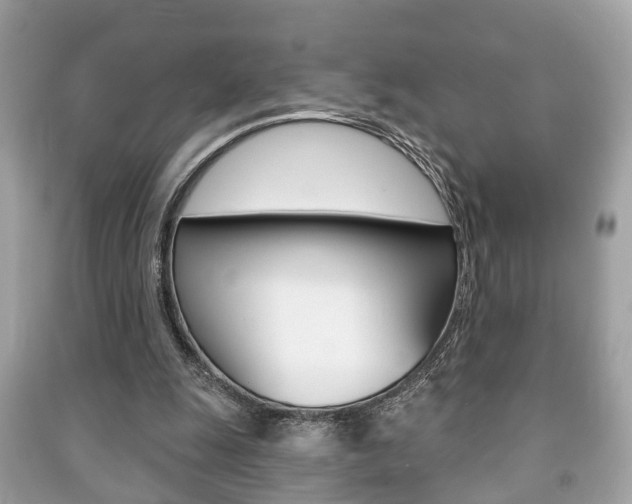 X0000091210247200708091122