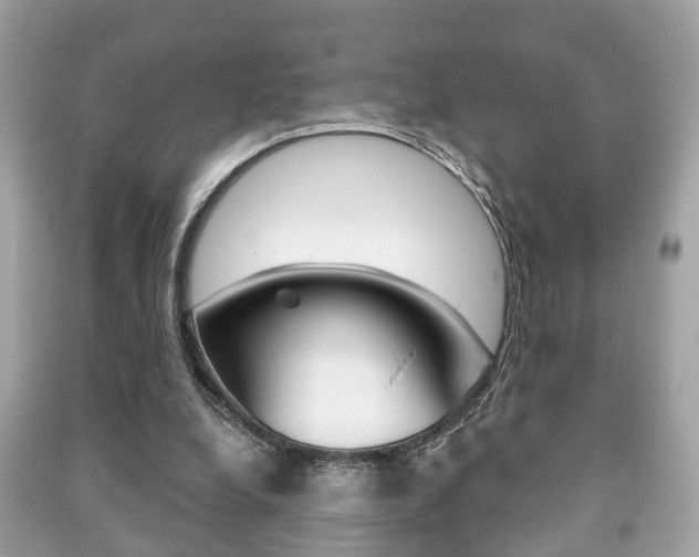 X0000091210248200708091122