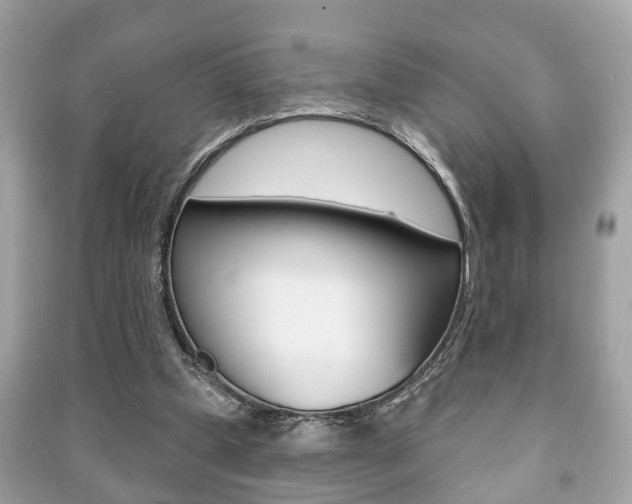 X0000091210249200708091122