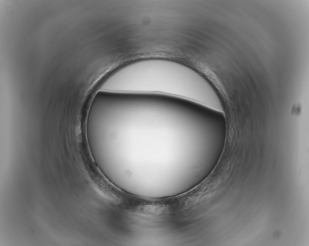 X0000091210251200708091122