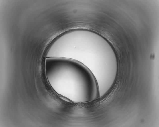 X0000091210252200708091122