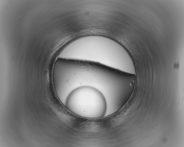 X0000091210254200708091122