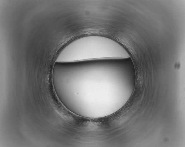 X0000091210255200708091122