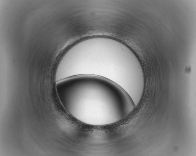 X0000091210256200708091122