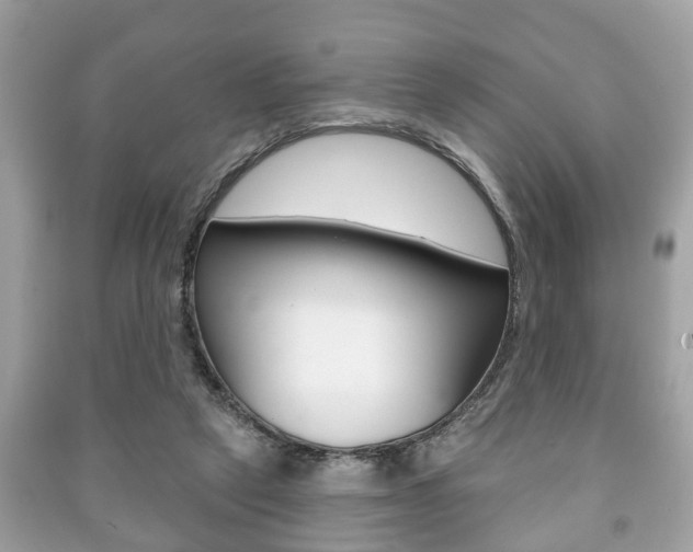 X0000091210257200708091122