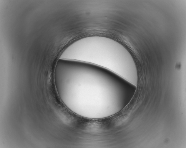 X0000091210259200708091122