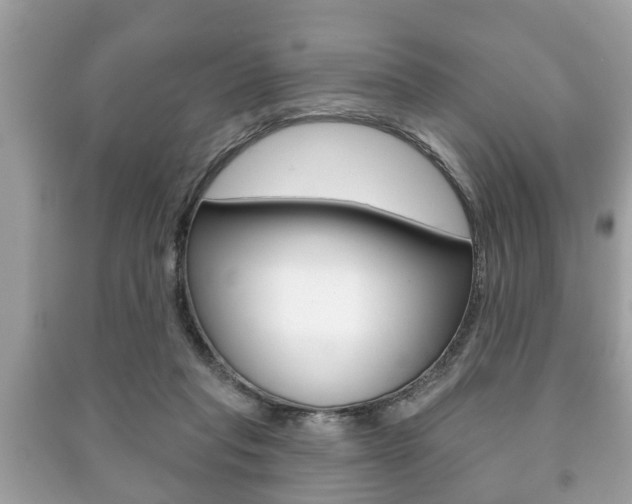 X0000091210261200708091122