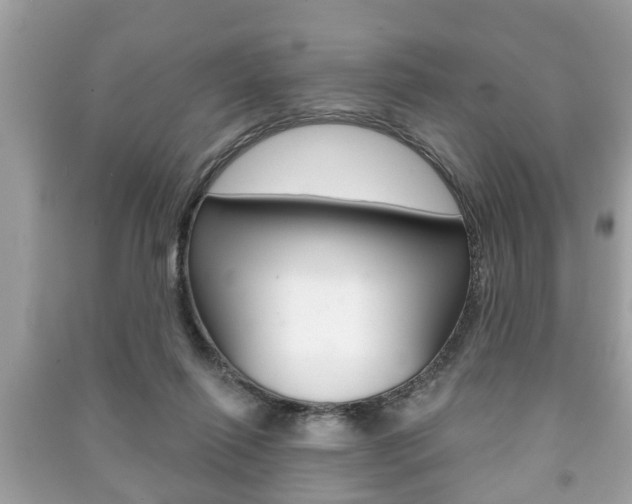 X0000091210262200708091122