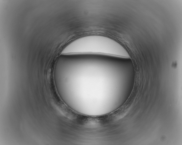 X0000091210263200708091122