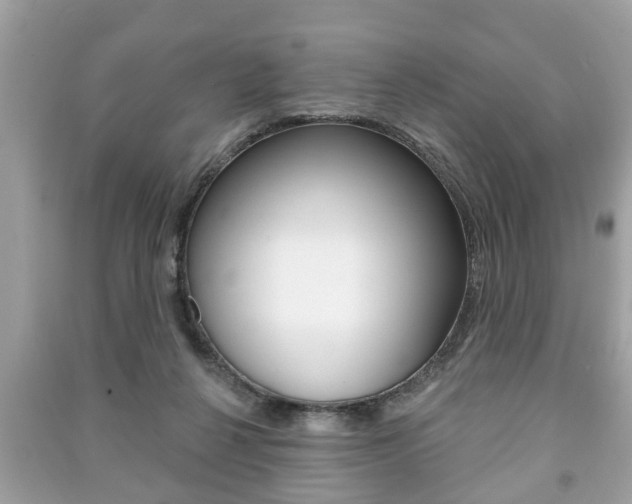 X0000091210264200708091122