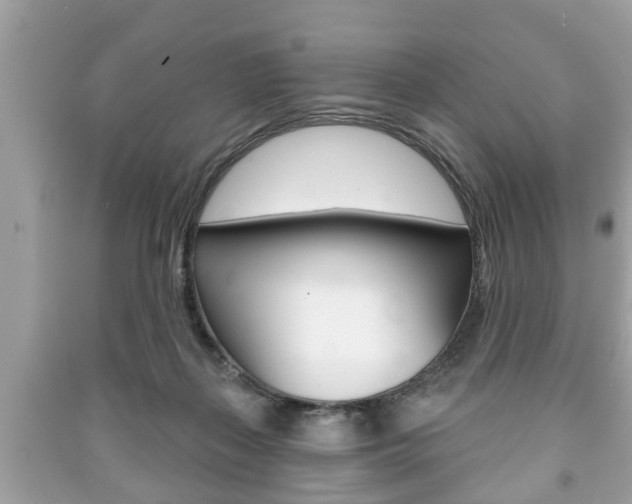 X0000091210267200708091122