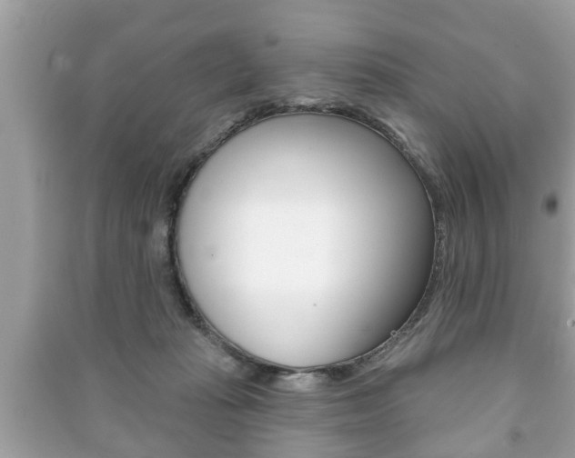X0000091210269200708091122