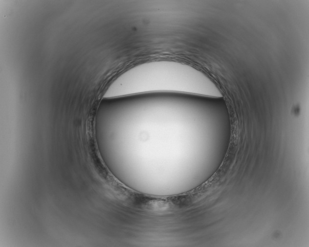 X0000091210272200708091122