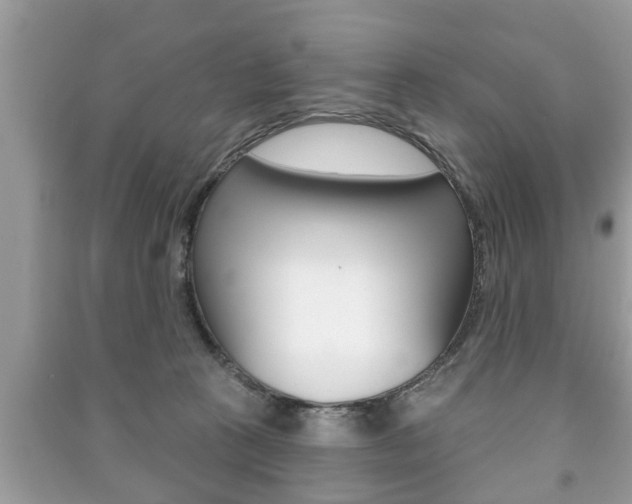 X0000091210273200708091122