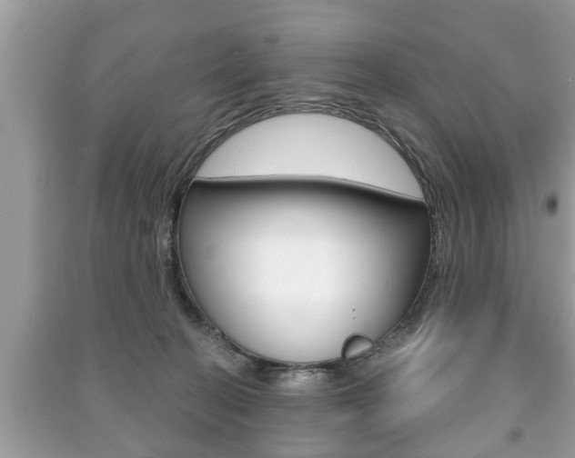 X0000091210274200708091122