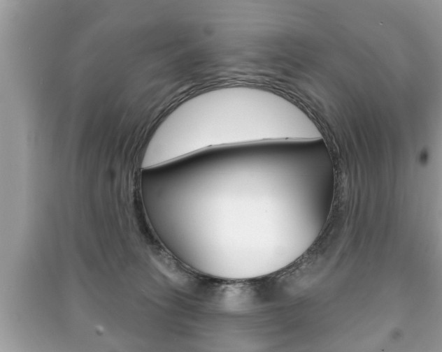 X0000091210275200708091122