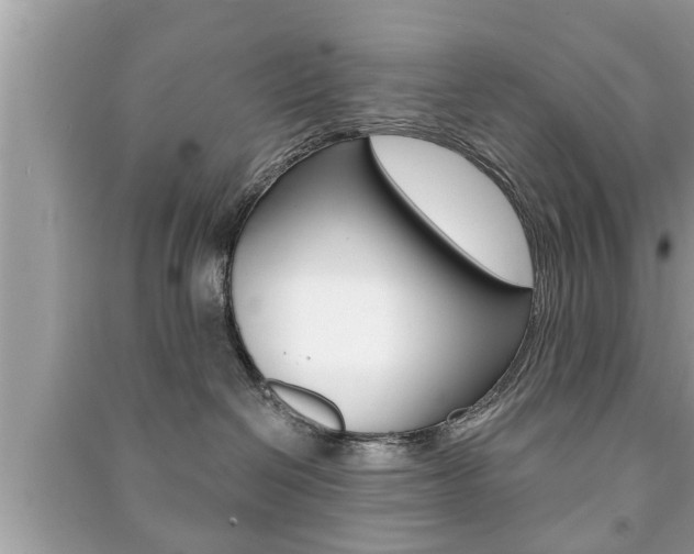 X0000091210286200708091122