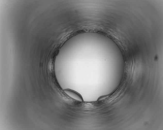X0000091210287200708091122