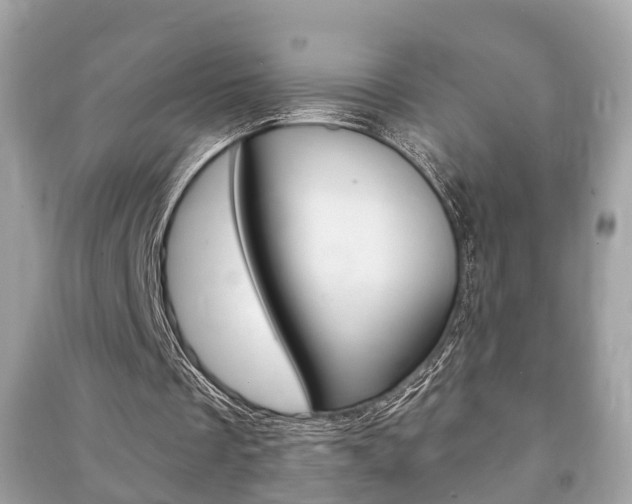 X0000091210289200708091122