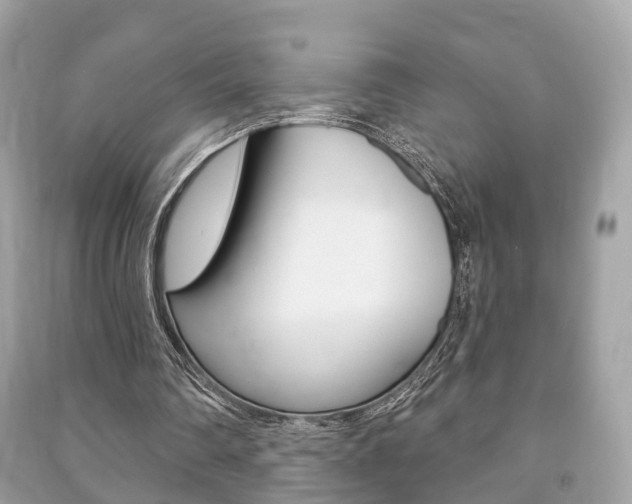 X0000091210290200708091122