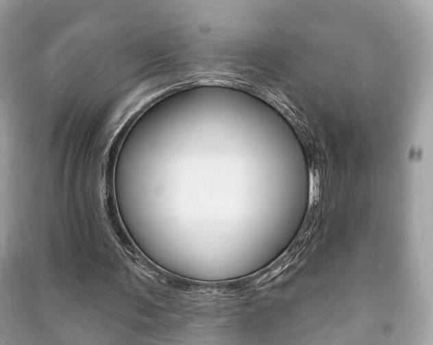 X0000091210291200708091122