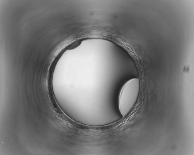 X0000091210292200708091121