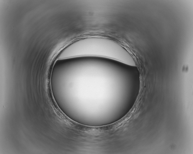 X0000091210293200708091121