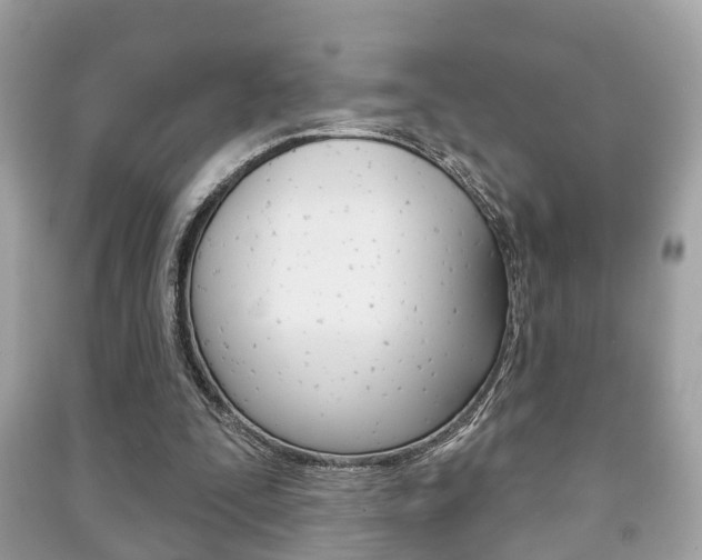X0000091210295200708091121